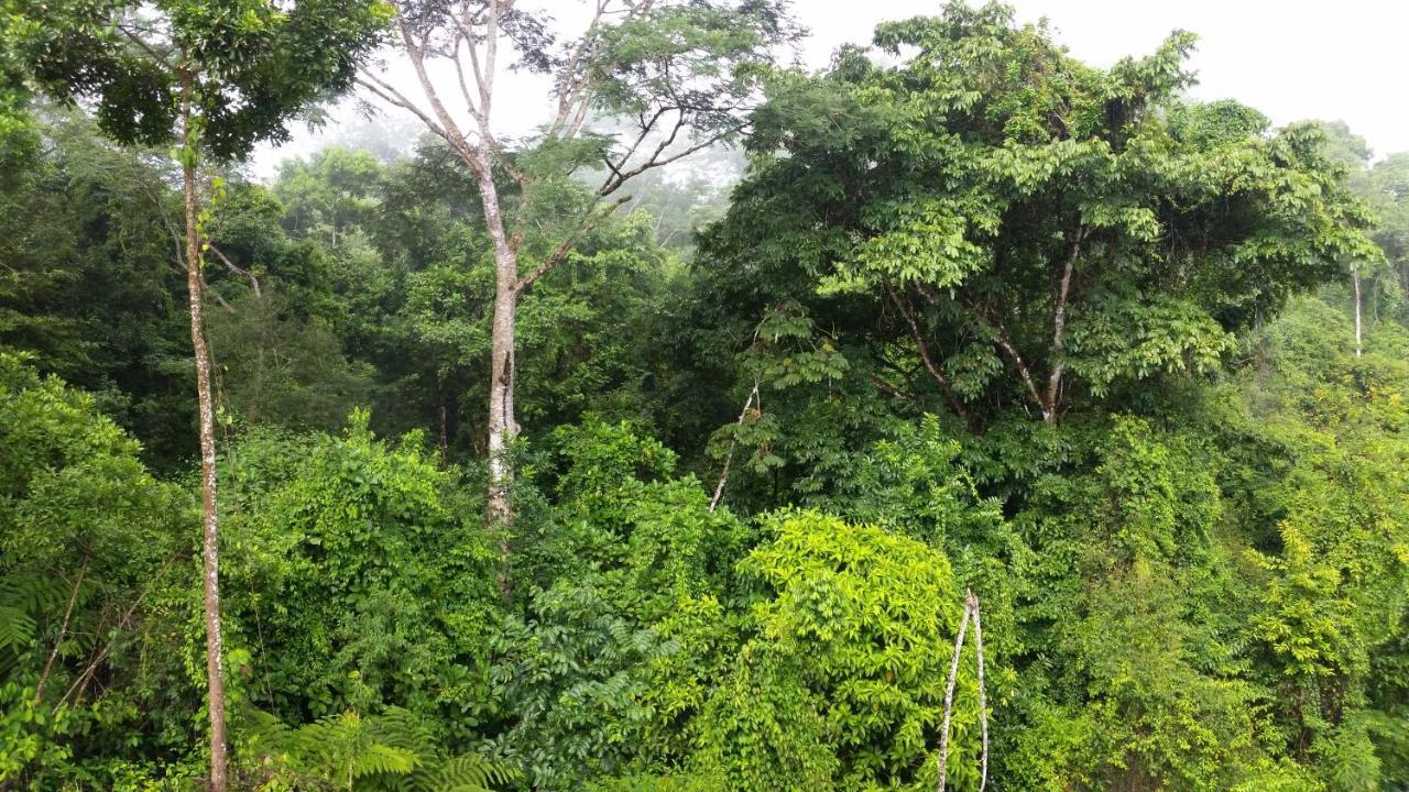 Finca Sueno De Osa Puerto Jiménez Екстериор снимка