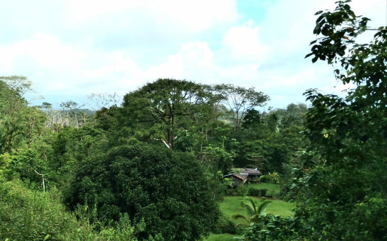 Finca Sueno De Osa Puerto Jiménez Екстериор снимка