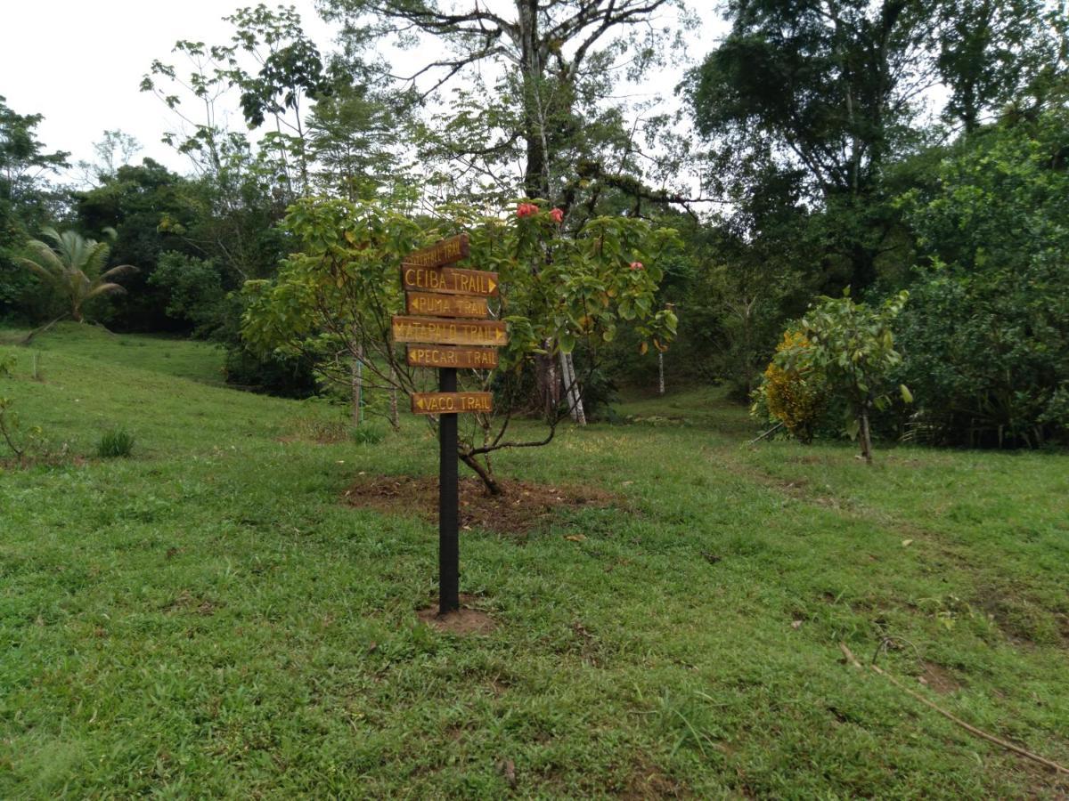 Finca Sueno De Osa Puerto Jiménez Екстериор снимка