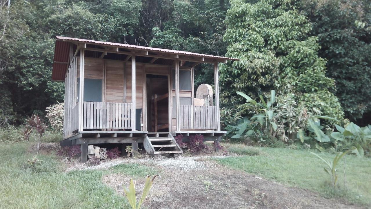 Finca Sueno De Osa Puerto Jiménez Екстериор снимка